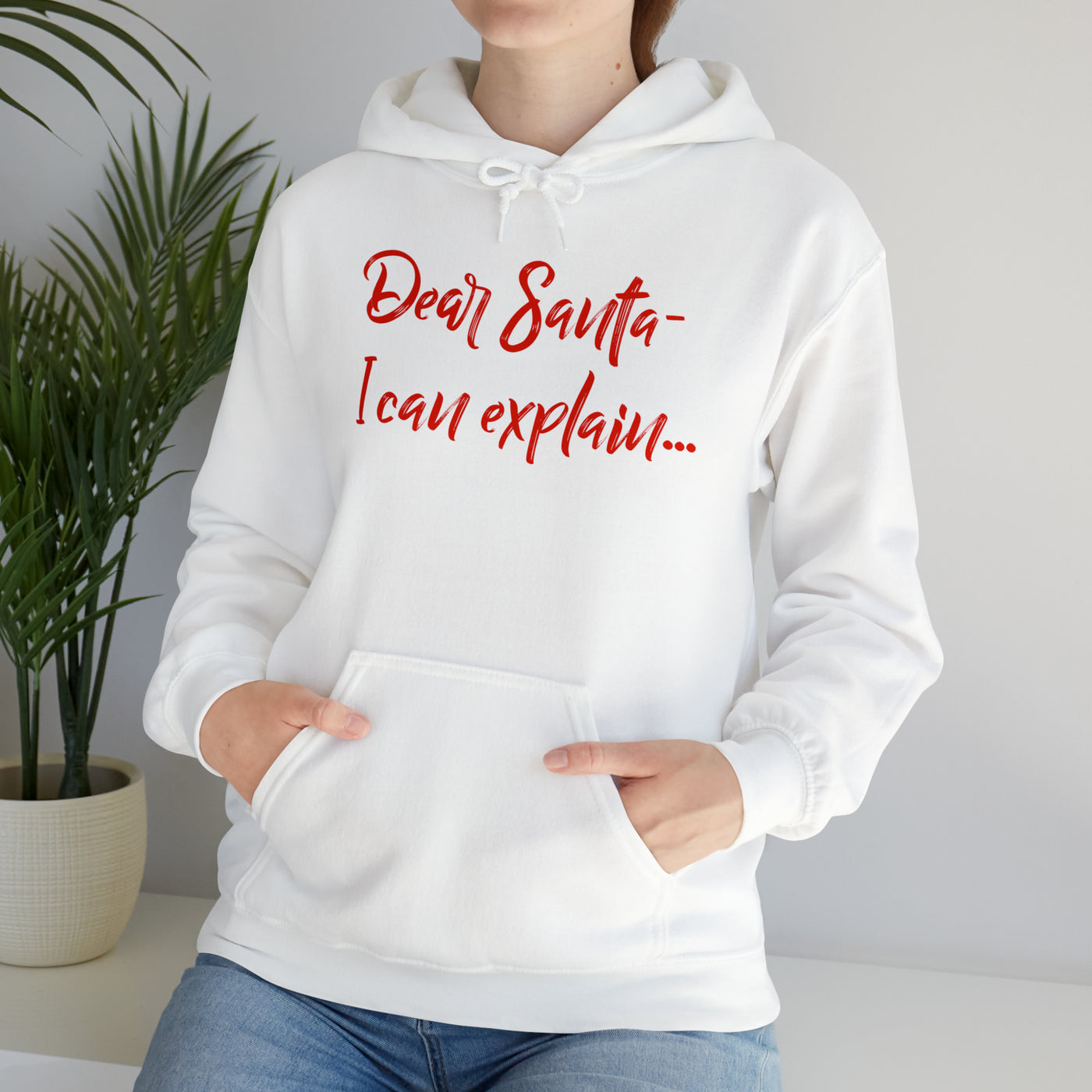 Dear Santa - I Can Explain Unisex Hoodie