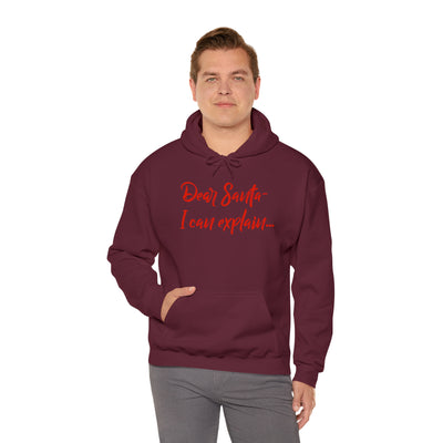 Dear Santa - I Can Explain Unisex Hoodie