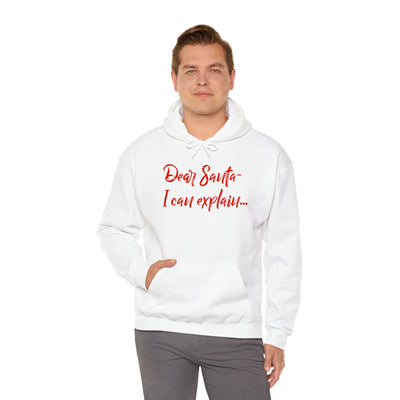 Dear Santa - I Can Explain Unisex Hoodie