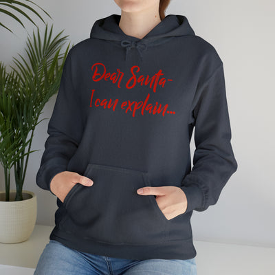 Dear Santa - I Can Explain Unisex Hoodie