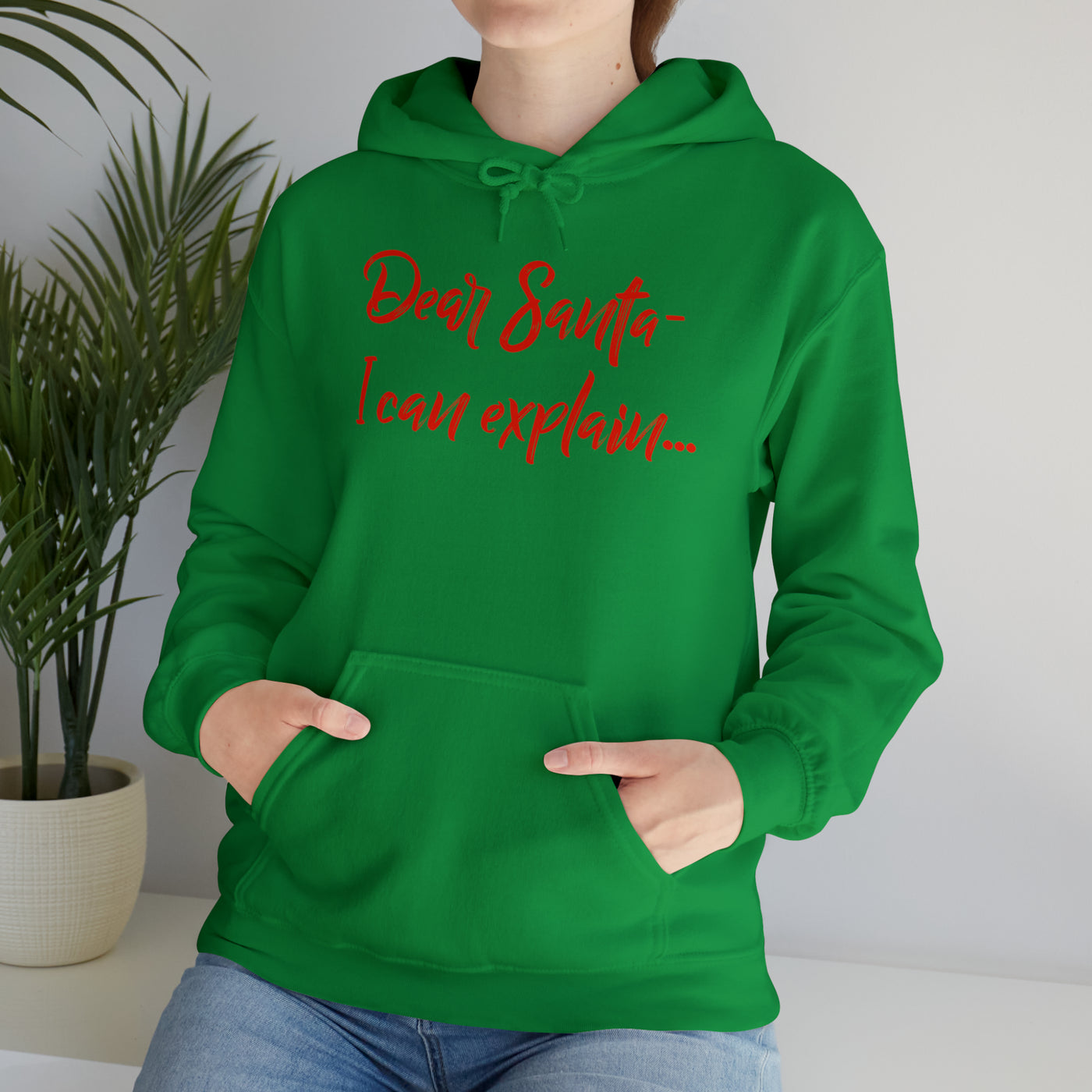 Dear Santa - I Can Explain Unisex Hoodie