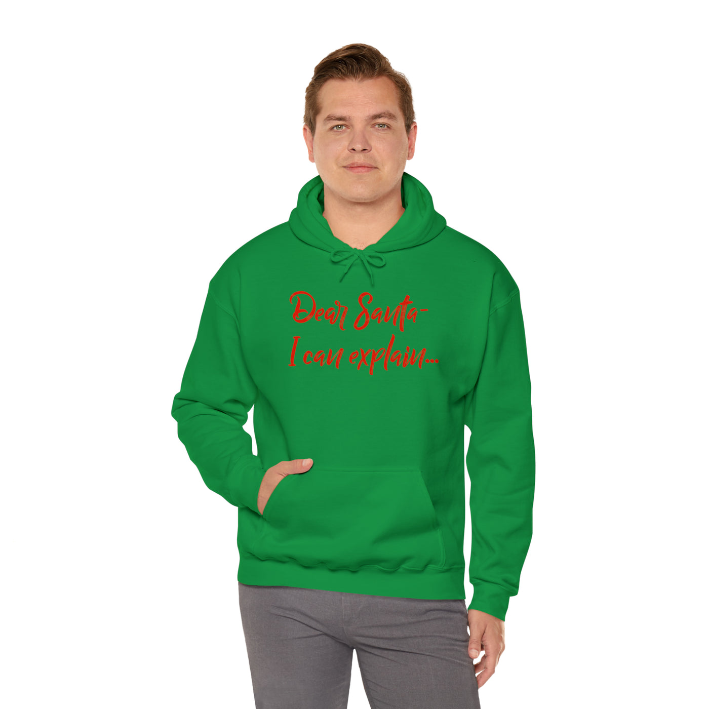 Dear Santa - I Can Explain Unisex Hoodie