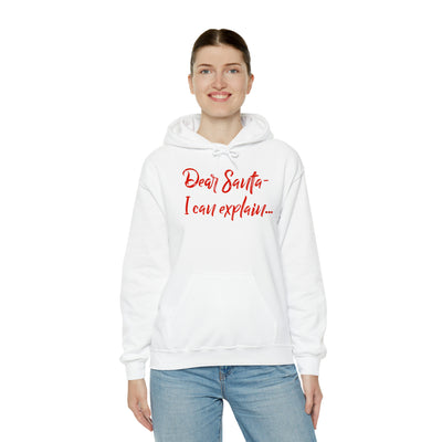 Dear Santa - I Can Explain Unisex Hoodie