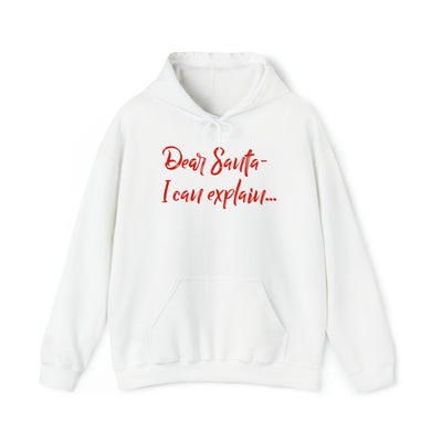 Dear Santa - I Can Explain Unisex Hoodie