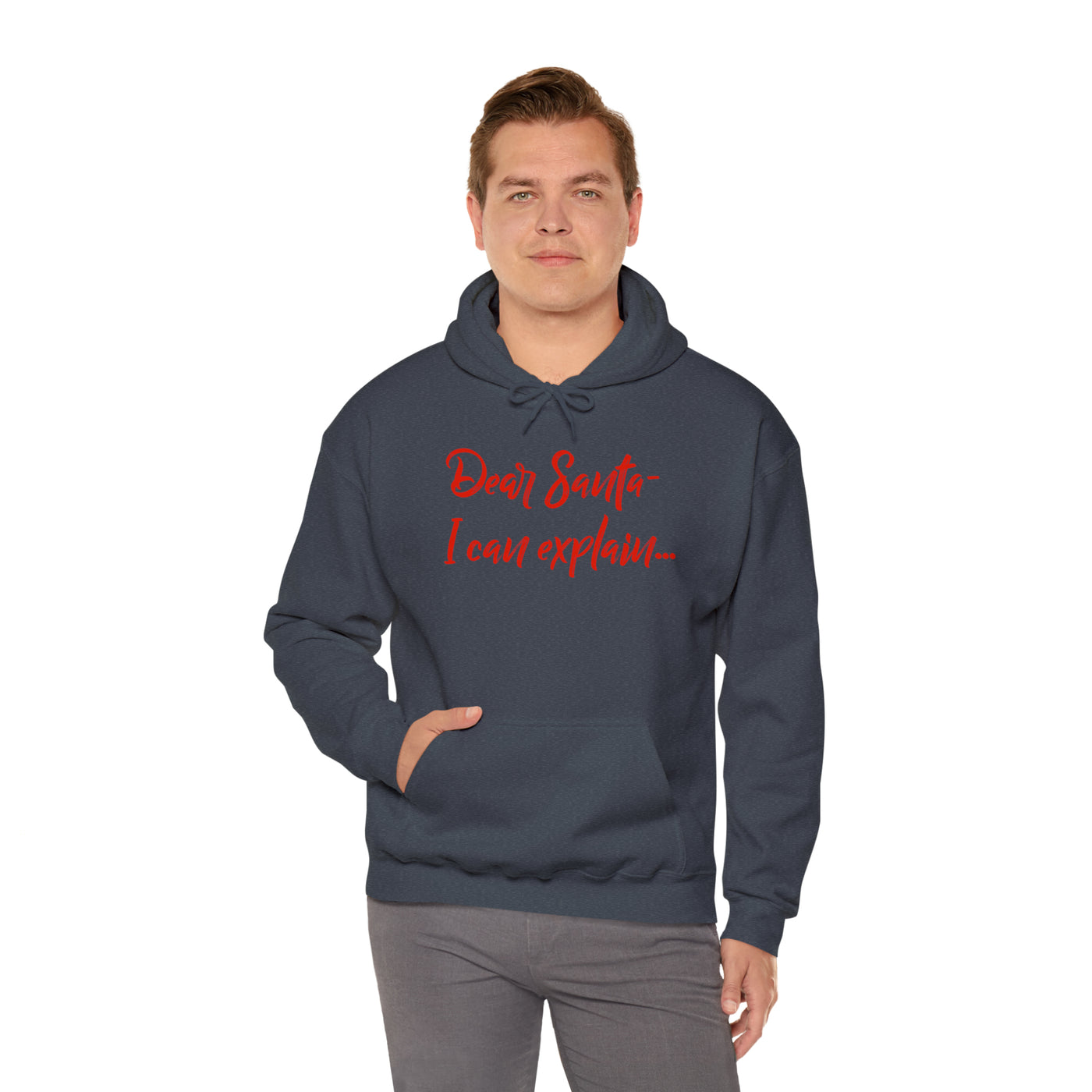 Dear Santa - I Can Explain Unisex Hoodie