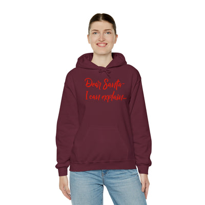 Dear Santa - I Can Explain Unisex Hoodie