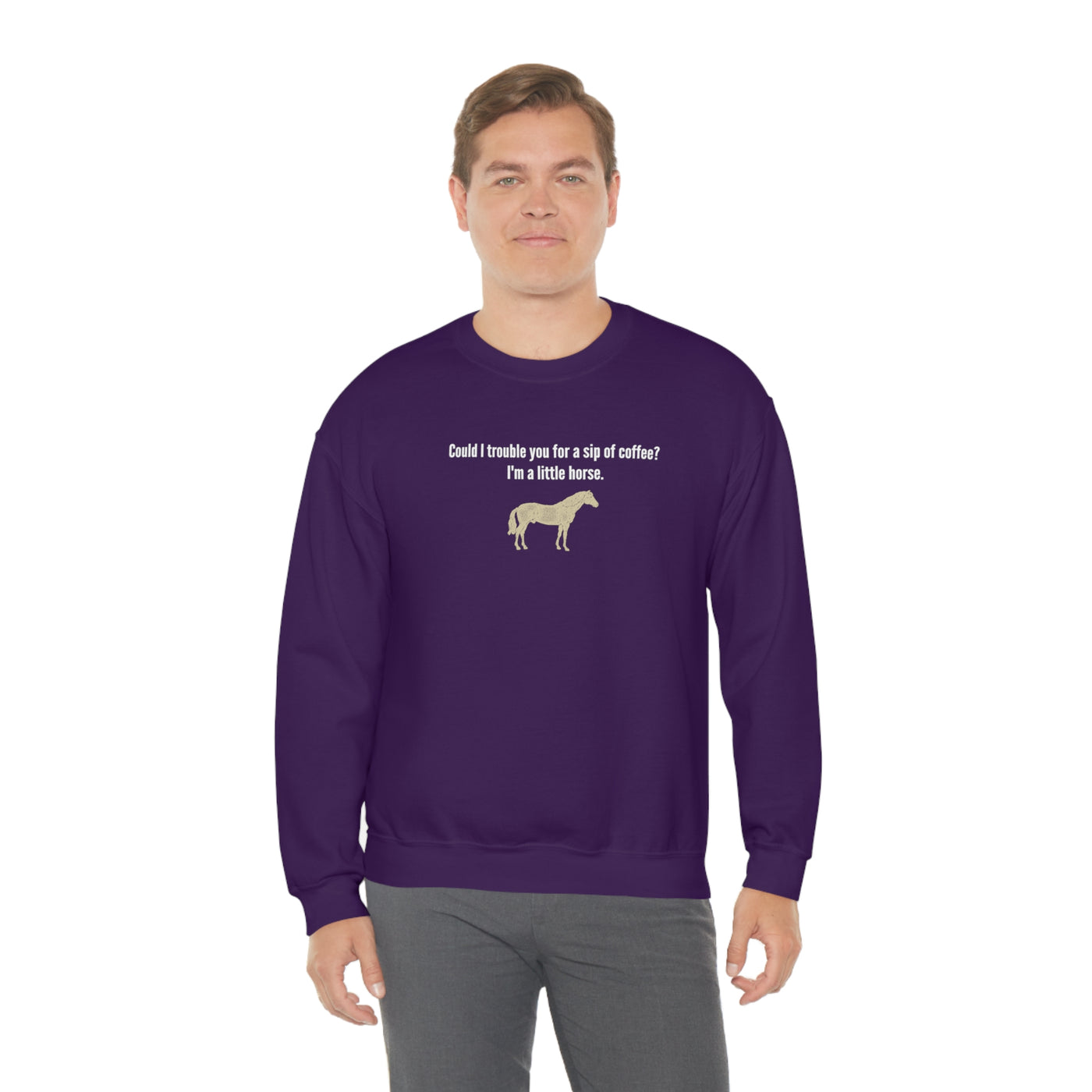 A Little Horse Crewneck Sweatshirt