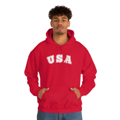 USA Unisex Hoodie