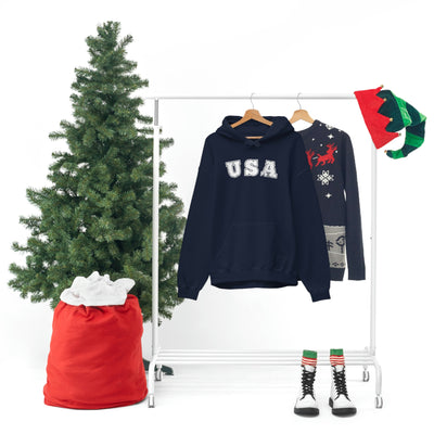 USA Unisex Hoodie